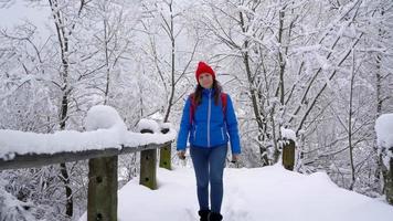 solitario turista niña caminando en un invierno cubierto de nieve conífero bosque en el montañas. escarchado clima. lento movimiento video