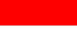 indonesia Simple flag Correct size, proportion, colors. vector