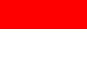 indonesia Simple flag Correct size, proportion, colors. vector