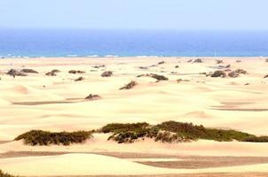 Scenic desert landscape photo