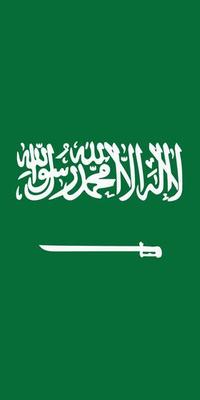 Hanging vertical flag