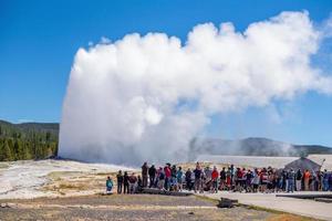 famoso antiguo fiel géiser en Yellowstone nacional parque, Estados Unidos foto