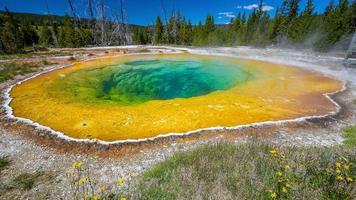 Hot spring in Yellow stone National Park in USA photo