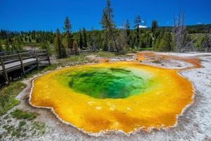 Hot spring in Yellow stone National Park in USA photo