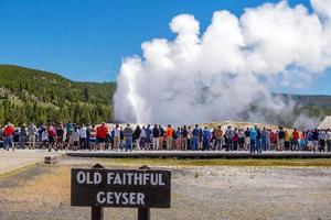 Famous Old Faithful Geyser in Yellowstone National Park, USA photo