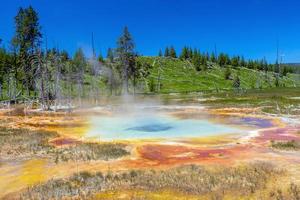 Hot spring in Yellow stone National Park in USA photo