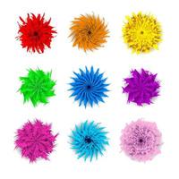 Flowers colorful vector set isolated in white background. Big set of beautiful colorful flowers. Vector illustration