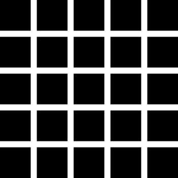 cuadrado espejismo, geométrico óptico espejismo modelo. modelo para tu diseño vector