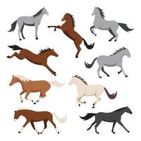 Collection of horses and pony standing and moving vector flat illustration