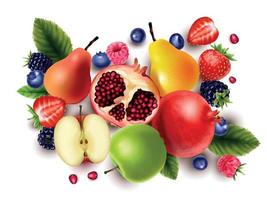 realista frutas y bayas vector