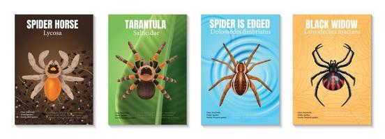 cuatro vertical realista arañas póster conjunto vector