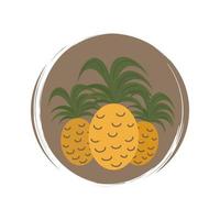 Cute logo or icon vector with pineapples on circle with brush texture, for social media story and highlights