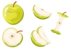 Whole green apple and different apple slices. vector