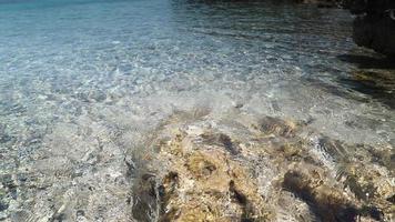 Timelapse av skön strand scen i kroatien med fantastisk kristall klar vatten av de adriatisk hav. video