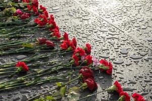 Red carnation flowers and roses are laid on a marble slab in the rain at sunset photo