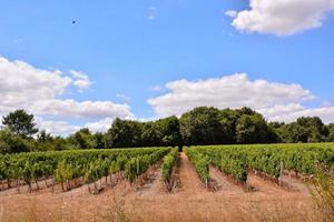 Scenic rural landscape photo