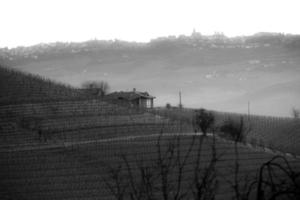 landscapes of the Piedmontese Langhe in black and white. vineyards and hills of Piedmont in the winter of 2023 photo