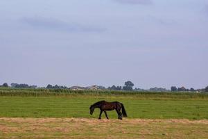 Scenic rural landscape photo