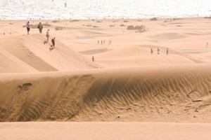 Sand dunes by the sea photo