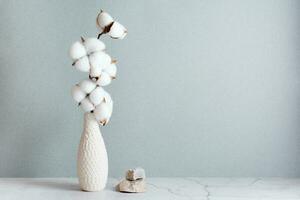 Eco friendly home decor cotton branch in vase and stones on table on gray background. Copy space
