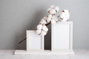 Eco friendly home decor two photo frames and a cotton branch on a table on a gray background. Pastel shades