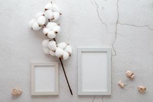 Eco friendly home template cotton branch, two empty photo frames and stones on a gray background. Pastel shades