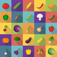 Icons different vegetables on a black background. Vector illustration