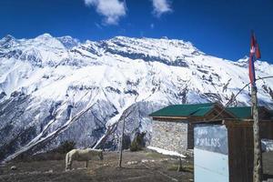 salvar himalaya manang foto