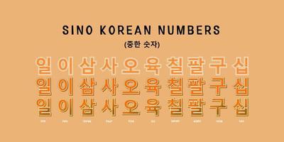 Sino Korean Numbers Typography vector