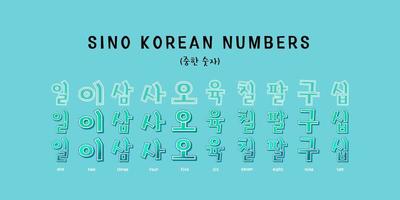 Sino Korean Numbers Typography vector