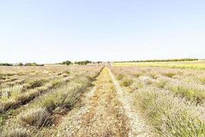 escénico rural paisaje foto