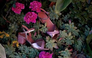 Pink womens sandals a summer style photo