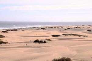 Sand dunes by the sea photo