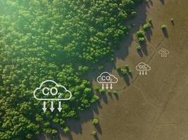 Carbon capture concept. Natural carbon sinks. Mangrove trees capture CO2 from the atmosphere. Aerial view of green mangrove forest. Blue carbon ecosystems. Mangroves absorb carbon dioxide emissions. photo