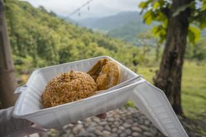 Close up photo of fried rice with nature background  when day time. The photo is suitable to use for food traveler background and foodies post content.