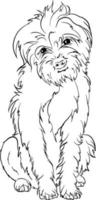 Border Terrier dog breed doodle style line drawing vector black and white illustration