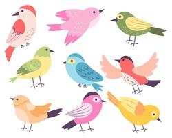 conjunto de vistoso aves. vector ilustración.