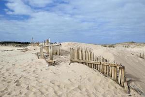 tarifa beach dunes photo