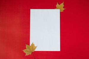 A clean white sheet of paper for text with autumn fallen leaves on a red background. Autumn greeting Card concept with copy space photo