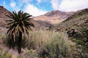 Scenic rural landscape photo