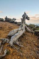 Scenic rural landscape photo