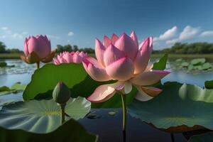 rosado loto flores floreciente en lago azul cielo antecedentes. generativo ai foto