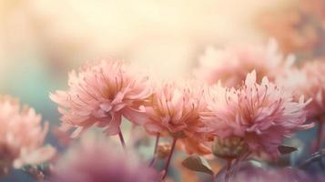 Soft dreamy sweet flower for love romance background. photo