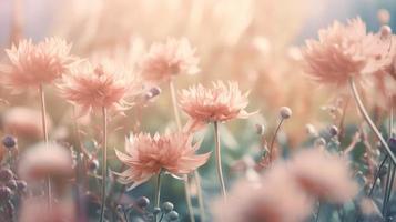 Soft dreamy sweet flower for love romance background. photo