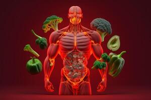 vegetales formando un humano cuerpo metabolismo y nutrición, comiendo dieta comida para energía y digestión. creado generativo ai foto