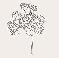 Minimalist Monstera Line Art, Simple Plant Drawing, Black White, Flower vector