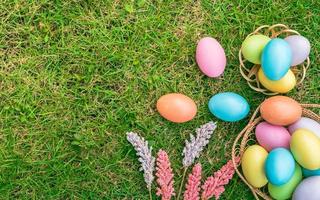 Happy Easter holiday greeting card concept. Colorful Easter Eggs and spring flowers on green grasses background. Flat lay, top view, copy space. photo