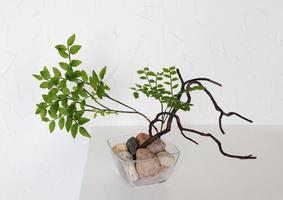 Floristic composition in the Asian style. Tree branch, blueberries, stones, square vase. Minimalism photo