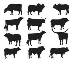 Set of vector silhouettes of cattle breeds
