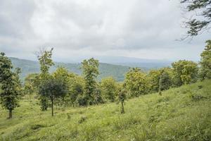 Scenic landscape of green hill view when cloudy sky after rain, Spring season East Java. The photo is suitable to use for nature background, holiday content social media and hill view poster.